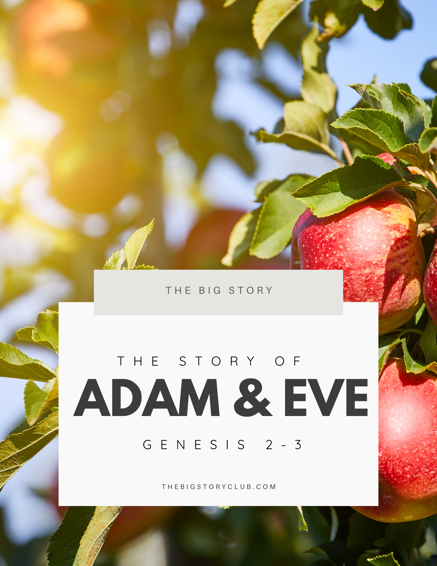 Interactive Big Story: Adam & Eve