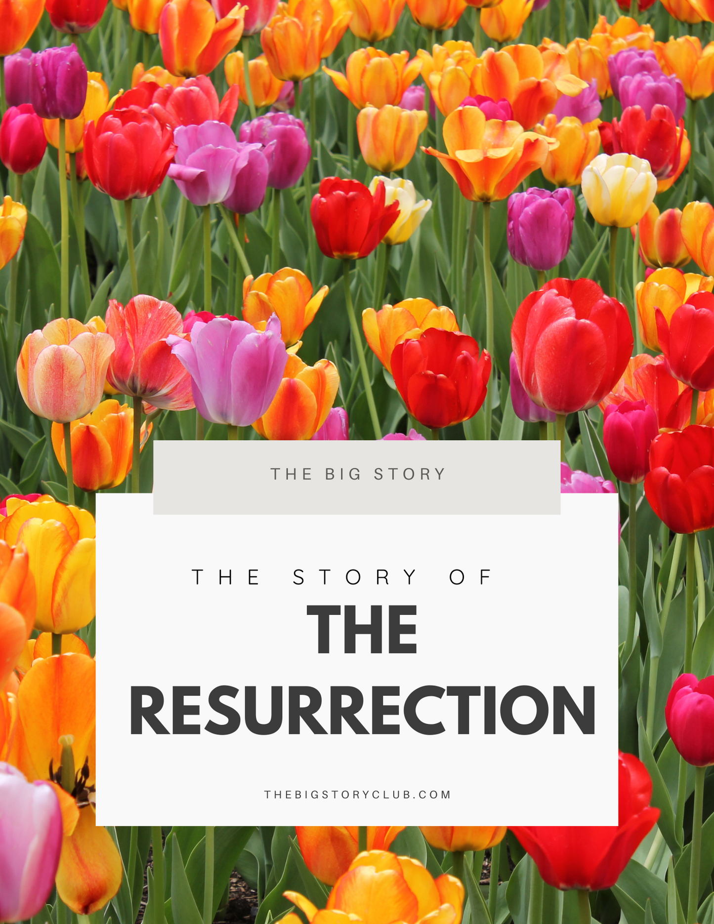 Interactive Big Story: The Resurrection (Easter)